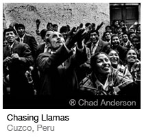 Chasing Llamas_Chad Anderson