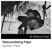 ® Willard Pate