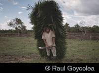 ®Raul Goycolea