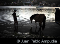 ®Juan Pablo Ampudia