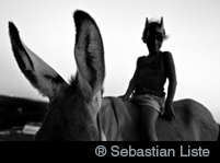 ® Sebastian Liste