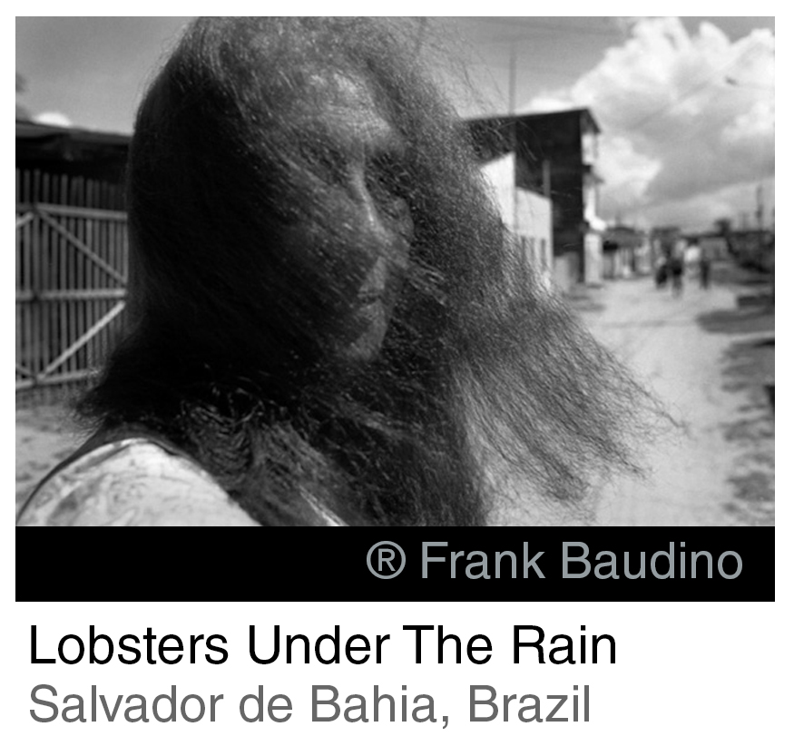 Lobster Under The Rain INTRO