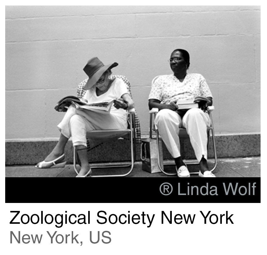 Zoological Society INTRO