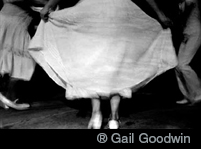 ® Gail Goodwin