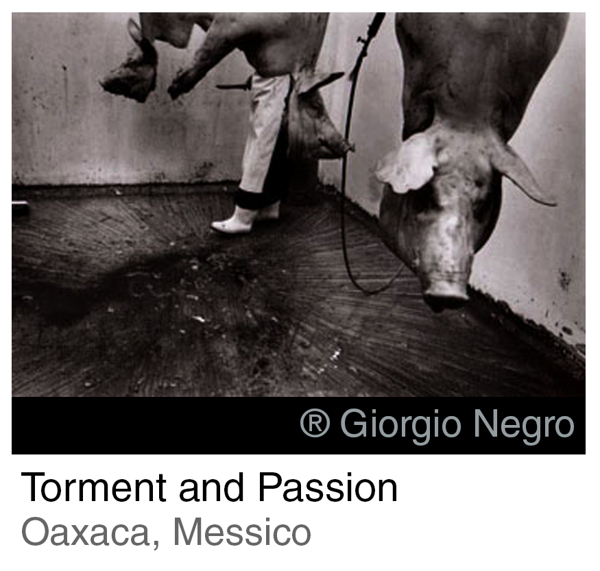 Torment and Passion INTRO ITA