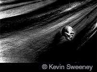 ® Kevin Sweeney