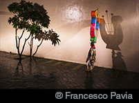 ®Francesco Pavia